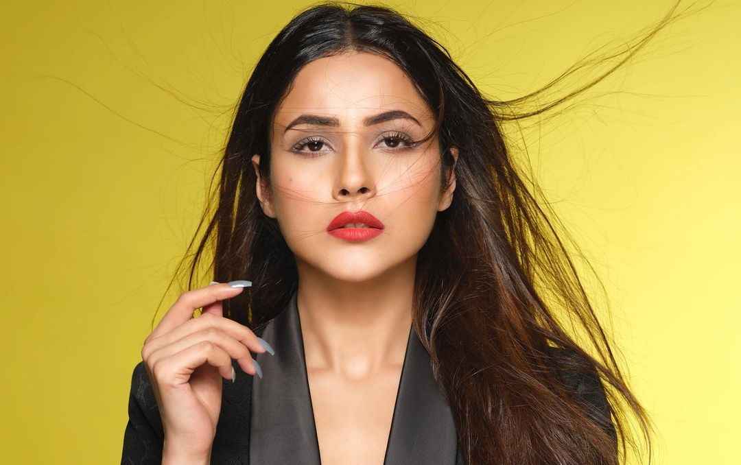 Shehnaaz Gill Age, Boyfriend, Size, Height, Weight, DOB, Husband ...